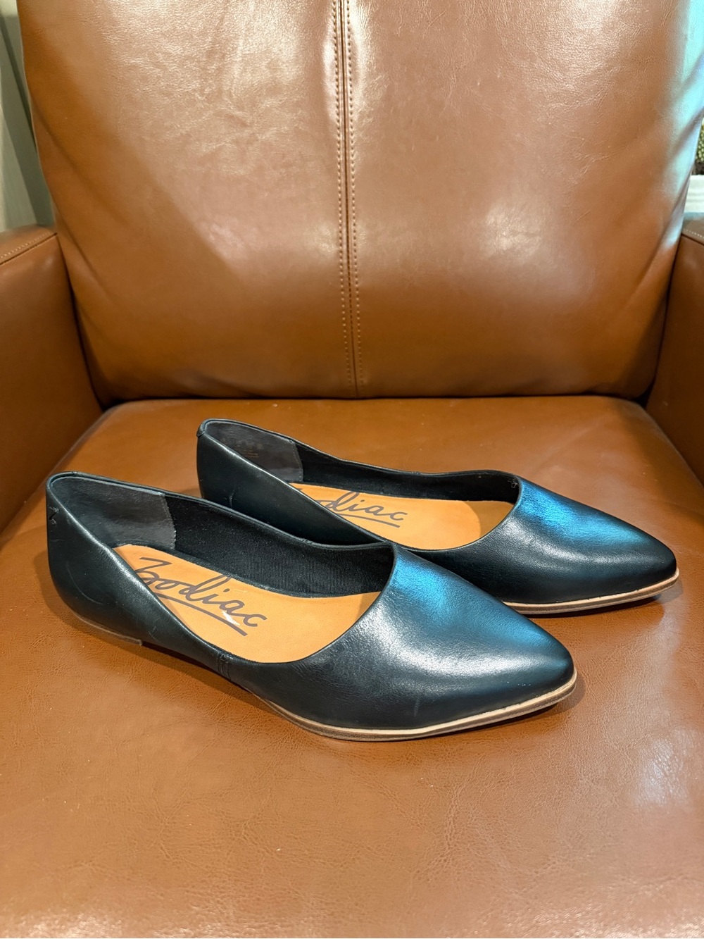 Zodiac Black Pointed-Toe Leather Flats (NWOT)